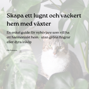 Skapa ett lugnt och vackert hem med växter